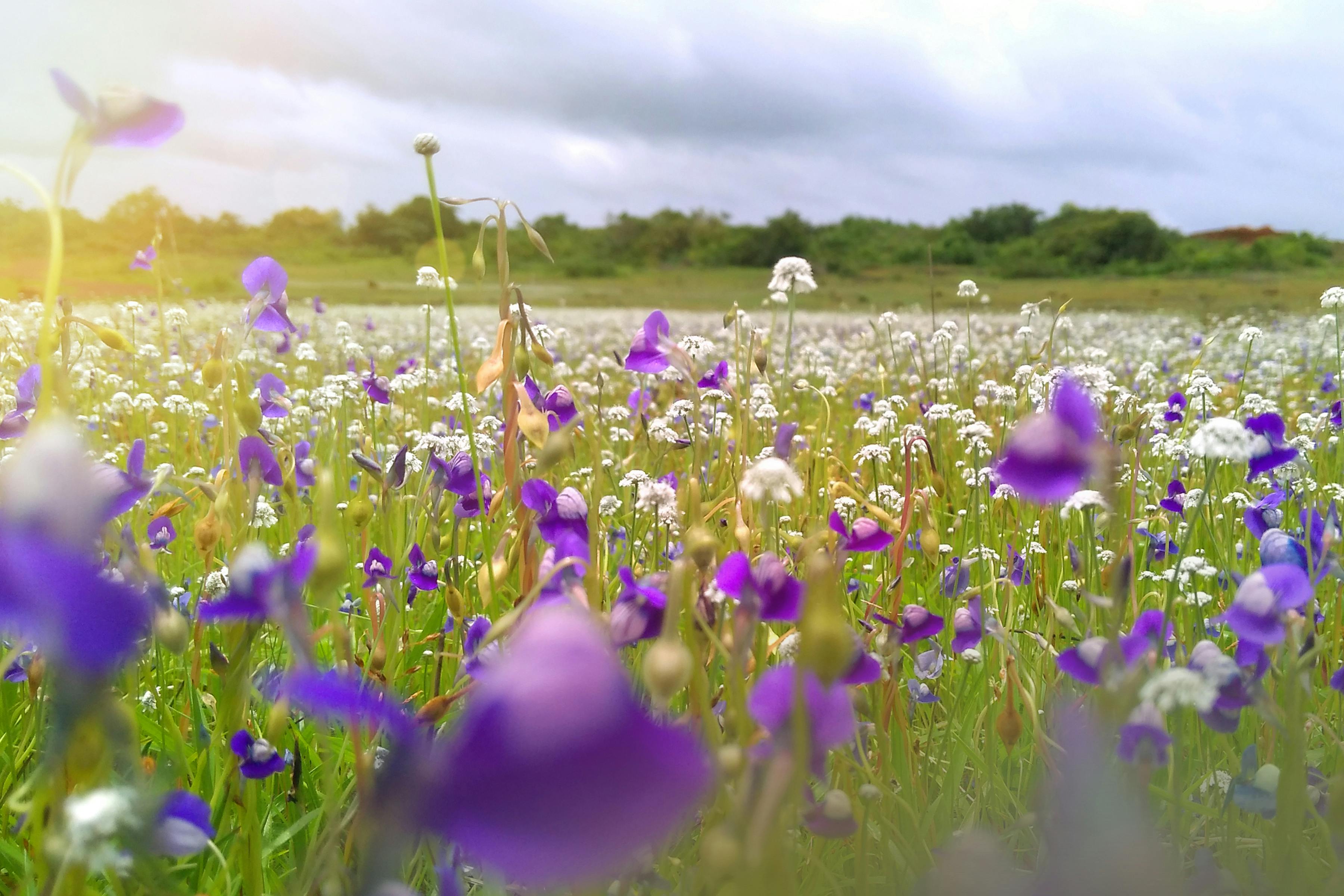 Gelbes Notizbuch und Stift – Fokus und Task-Management